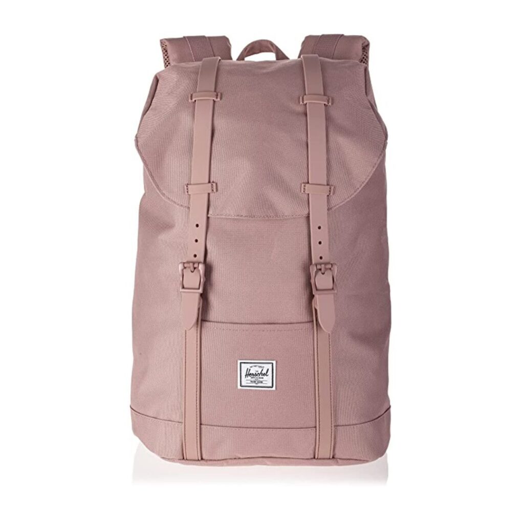 Mochilas Grandes para el Instituto 2023 Mochila Herschel Ash Rosa